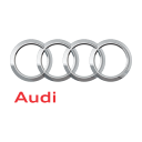 Audi(1)